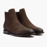 フライデーダークブラウンキャバリア